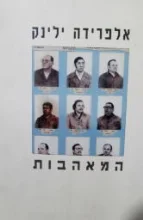 עטיפת הספר המאהבות