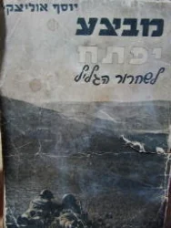 עטיפת הספר פעולות יפתח לשחרור הגליל