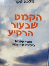 עטיפת הספר הקמט שבעור הרקיע