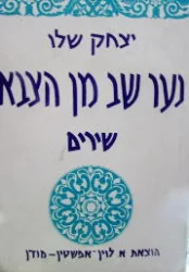 עטיפת הספר נער שב מן הצבא