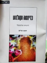 עטיפת הספר כריזמה וקולנוע