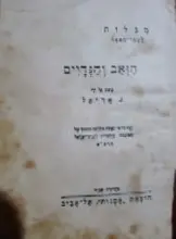 עטיפת הספר הזאב והגדיים