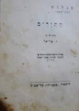 עטיפת הספר התירים