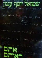 עטיפת הספר אתם ראיתם