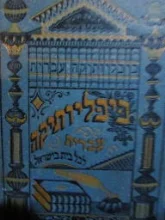 עטיפת הספר ביבליותיקה עברית לכל בית בישראל חזיונות ומנגינות שירים/ שמעון עציוני/ הירושה הטבעית