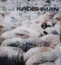 עטיפת הספר menashe kadishman israel