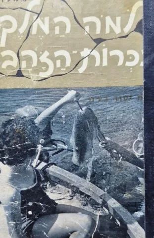 עטיפת הספר שני צברים יצאו לדרך למה המלך וככרות הזהב