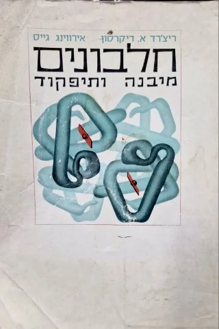 עטיפת הספר חלבונים מיבנה ותיפקוד