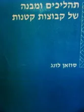 עטיפת הספר תהליכים ומבנה של קבוצות קטנות