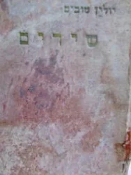 עטיפת הספר שירים