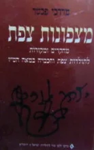 עטיפת הספר מצפונות צפת