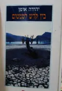 עטיפת הספר בין קדש לטמטום