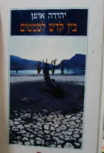 עטיפת הספר בין קדש לטמטום