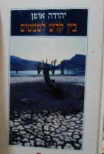 עטיפת הספר בין קדש לטמטום