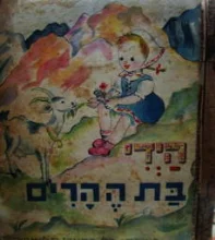 עטיפת הספר הידי בת ההרים
