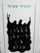 עטיפת הספר שטערן לייכטן אין תהום
