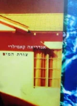 עטיפת הספר צורת המים