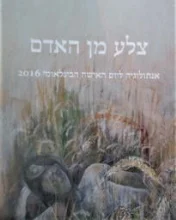עטיפת הספר צלע מן האדם