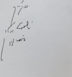 עטיפת הספר הלולות-חתום