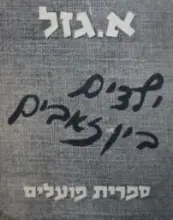 עטיפת הספר ילדים בין זאבים