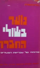 עטיפת הספר נוער בשולי החברה