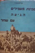 עטיפת הספר ספינת מעפילים הגיעה עם שחר