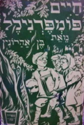 עטיפת הספר חיים פומפרניקל