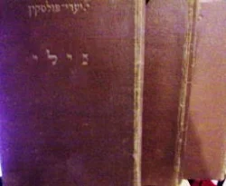 עטיפת הספר נילי-3 כרכים