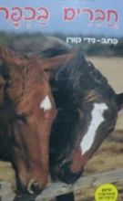 עטיפת הספר תמונות חינוכיות לילדים מיפן באהבה לילדים 9 חברים בכפר