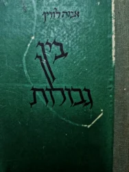 עטיפת הספר בין גבולות