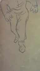 עטיפת הספר עור בעד עור