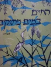 עטיפת הספר החיים במים מתוקים למורה