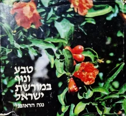 עטיפת הספר טבע ונוף במורשת ישראל