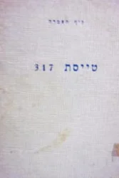 עטיפת הספר טייסת 317