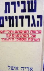עטיפת הספר שבירת הגרדומים