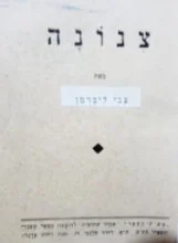 עטיפת הספר צנונה