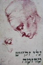 עטיפת הספר מדומה