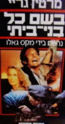עטיפת הספר בשם כל בני ביתי