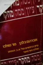 עטיפת הספר מר מולכו עיון ברומנים של א ב יהושע