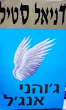 עטיפת הספר גוהני אנגל