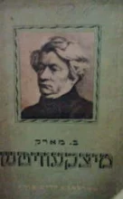 עטיפת הספר מיצקעוויטש