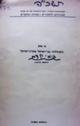 עטיפת הספר התנחלות בני ישראל בארץ ישראל