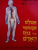 עטיפת הספר אטלס אנטומי של גוף האדם-חתום