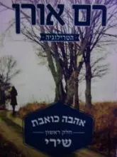 עטיפת הספר אהבה כואבת חלק ראשון שירי