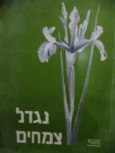 עטיפת הספר נגדל צמחים