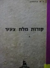עטיפת הספר קורות מלח צעיר