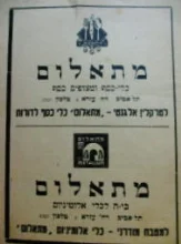 עטיפת הספר מסריטים את ציבי