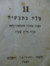 עטיפת הספר מלח בתבשיל