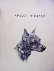 עטיפת הספר הפינצר הננסי