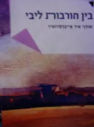 עטיפת הספר בין חורבות ליבי